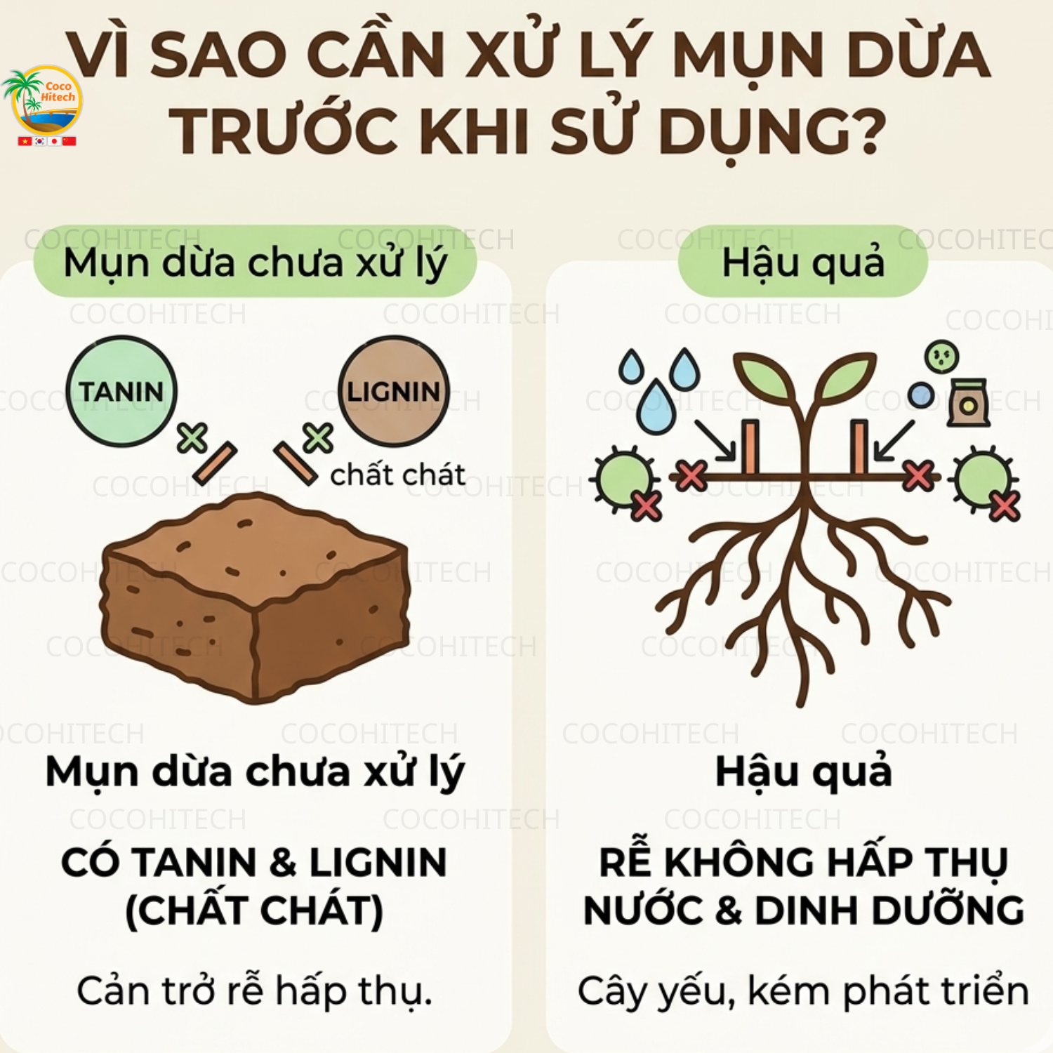 Vì sao cần xử lý mụn dừa trước khi sử dụng?