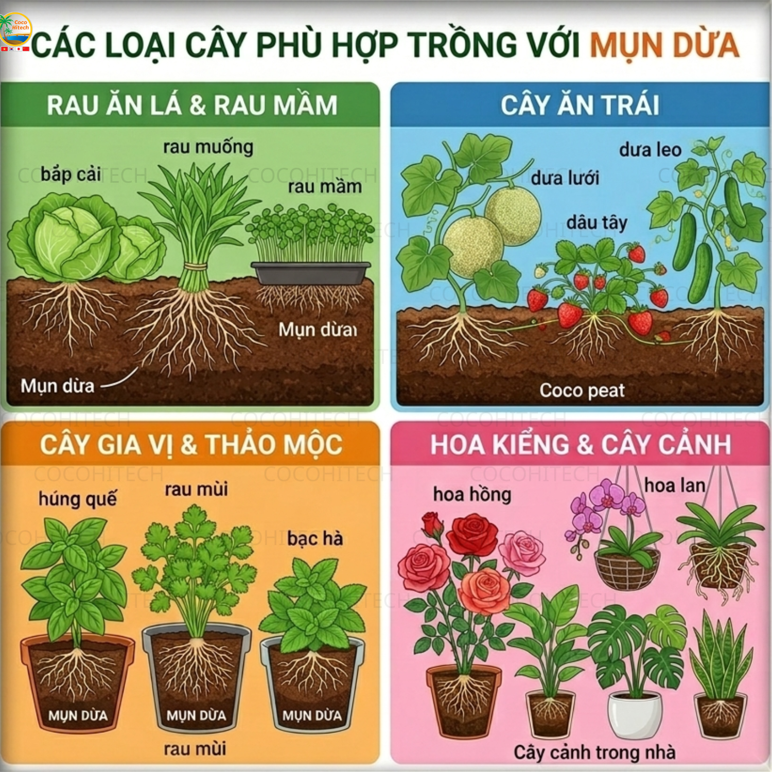 Các loại cây nên trồng với mụn dừa