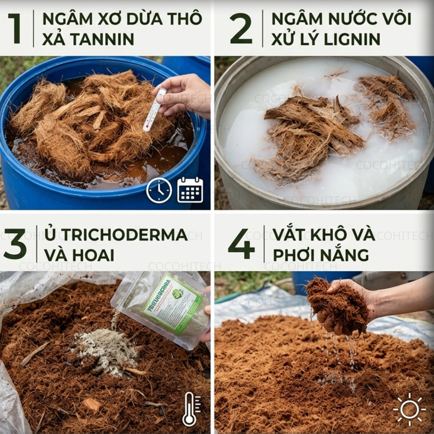 Cách xử lý mụn xơ dừa trước khi trồng cây hiệu quả nhất