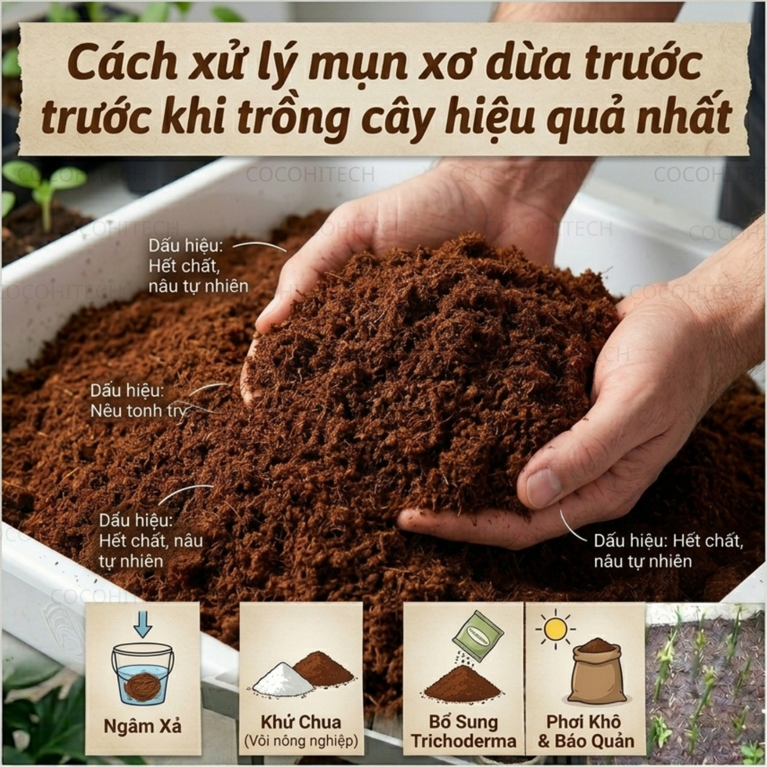 Mụn dừa đã xử lý