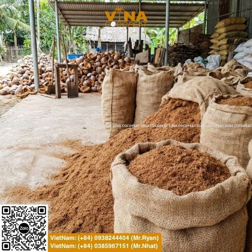 Có nên mua mụn dừa đã xử lý sẵn để làm giá thể trồng cây