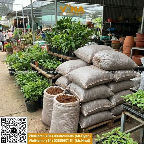 Có nên mua mụn dừa đã xử lý sẵn để làm giá thể trồng cây