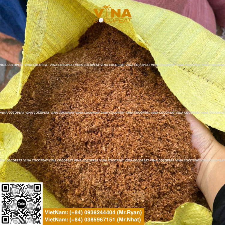 Đơn vị cung cấp mụn dừa, mụn dừa đã xử lý, xơ dừa toàn quốc