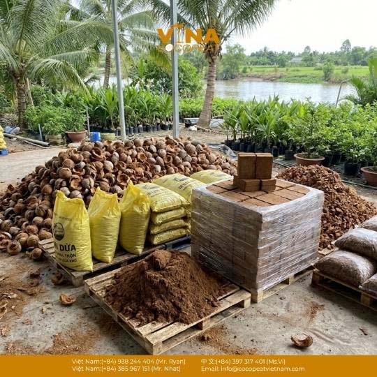 Tìm nguồn bán mụn dừa tại Bến Tre uy tín, giá tốt sỉ lẻ, kèm bảng giá tham khảo và cách chọn mụn dừa đã xử lý.