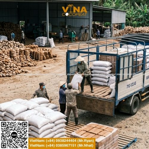 Tổng hợp đơn vị bán mụn dừa toàn quốc, tiêu chí chọn nhà cung cấp, thông số EC pH, quy cách sản phẩm, công thức phối trộn và bảng giá mụn dừa tham khảo.