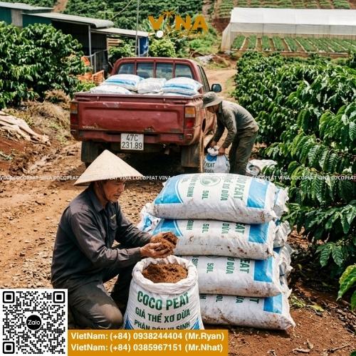 Cập nhật bảng giá phân bón tham khảo cho Ure, DAP, Kali, NPK, phân lân và SA, kèm cách so sánh chất lượng, chọn phân phù hợp và tối ưu chi phí canh tác.