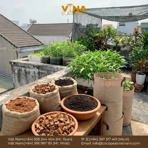 10 Loại Giá Thể Tốt Nhất Cho Mọi Cây Trồng