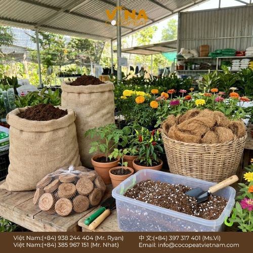 Khám phá 6 cách sử dụng đất xơ dừa hiệu quả cho người mới: xử lý chất chát, phối trộn giá thể, ươm hạt, giữ ẩm và cải tạo đất.
