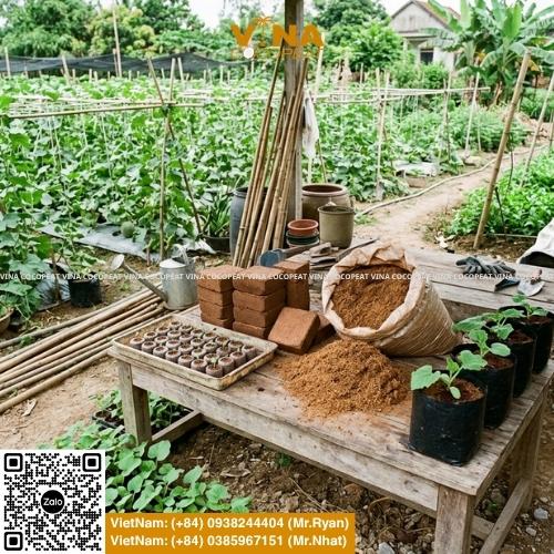 Hướng dẫn trồng dưa lưới bằng mụn dừa tại nhà với 5 bước: xử lý giá thể, ươm hạt, trồng cây con, tưới nước, bón phân, làm giàn và thu hoạch trái ngọt.