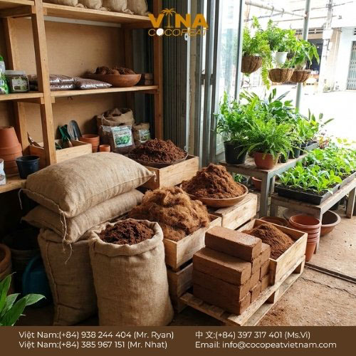 Khám phá 6 bí quyết dùng cám dừa trồng cây giúp cải tạo đất tơi xốp, giữ ẩm tốt, tiết kiệm nước và hỗ trợ rễ cây phát triển khỏe.