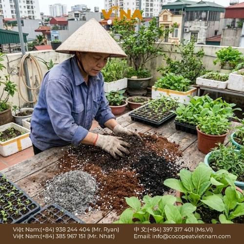 Khám phá 6 bí quyết dùng cám dừa trồng cây giúp cải tạo đất tơi xốp, giữ ẩm tốt, tiết kiệm nước và hỗ trợ rễ cây phát triển khỏe.