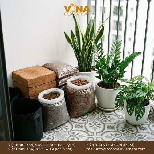 10 Loại Giá Thể Tốt Nhất Cho Mọi Cây Trồng
