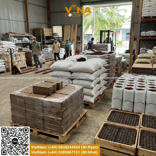 Tìm hiểu 5 tiêu chí chọn mụn dừa xuất khẩu Bến Tre: EC, pH, độ ẩm, độ nở, xử lý Tanin Lignin, tạp chất, chứng nhận và hồ sơ kiểm định.