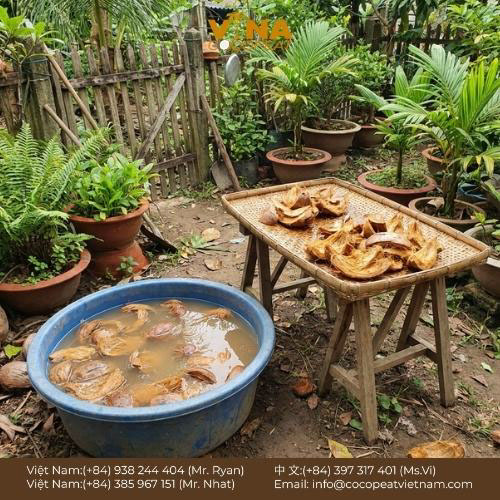 10 Công Dụng Tuyệt Vời Của Vỏ Dừa Khô Bạn Nên B
