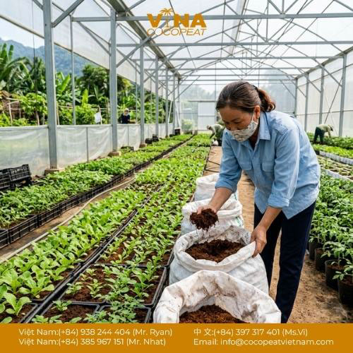 7 Tiêu Chí Cần Biết Khi Tìm Nơi Cung Cấp Xơ Dừa S