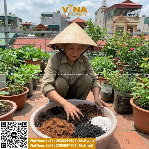 Đất tự trộn theo công thức tối ưu cho cây trồng chậu