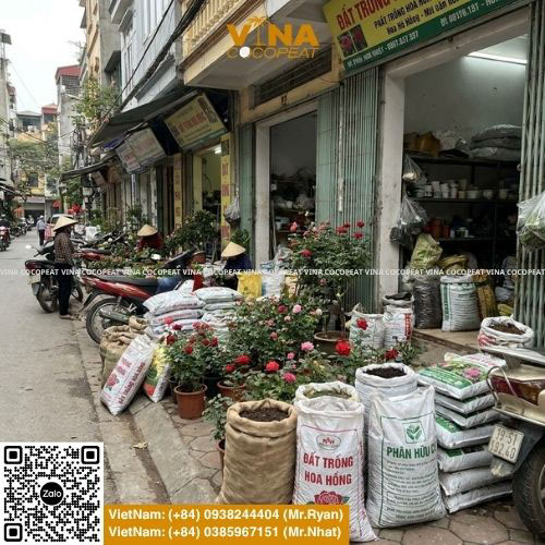 Đất trồng hoa hồng loại nào tốt với bao đất sạch phân hữu cơ và chậu hoa hồng tại cửa hàng cây cảnh