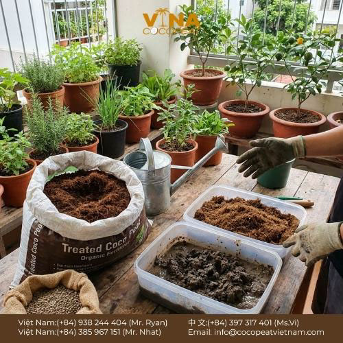 Khám phá 6 cách sử dụng đất xơ dừa hiệu quả cho người mới: xử lý chất chát, phối trộn giá thể, ươm hạt, giữ ẩm và cải tạo đất.