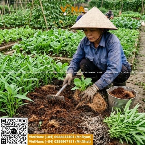 Cập nhật bảng giá phân bón tham khảo cho Ure, DAP, Kali, NPK, phân lân và SA, kèm cách so sánh chất lượng, chọn phân phù hợp và tối ưu chi phí canh tác.
