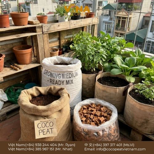 5 Bước Hiểu Rõ Giá Thể Là Gì & Tự Trộn Tiết Kiệm