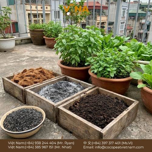 Khám phá 10 loại giá thể hữu cơ tốt nhất cho cây trồng tại nhà, kèm cách phối trộn, lợi ích và kinh nghiệm chọn mua giúp cây khỏe, rễ phát triển tốt.