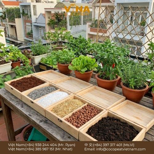 Khám phá 15 loại giá thể trồng cây tốt nhất hiện nay, từ xơ dừa, trấu hun, perlite đến đất nung, kèm cách chọn và phối trộn hiệu quả.