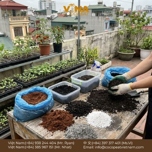 Khám phá 5 lợi ích của giá thể xơ dừa cho vườn nhà: giữ ẩm, thoáng khí, sạch mầm bệnh, cải tạo đất và hỗ trợ canh tác bền vững.