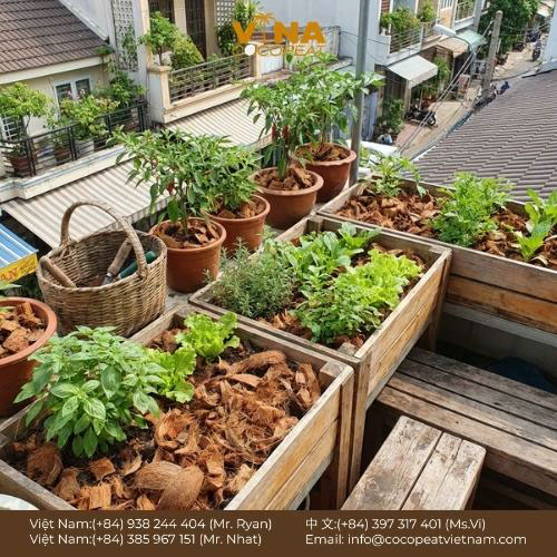 Khám phá 7 lợi ích của giá thể xơ dừa cho vườn hữu cơ: giữ ẩm, thoáng khí, sạch bệnh, hỗ trợ rễ khỏe và canh tác bền vững.