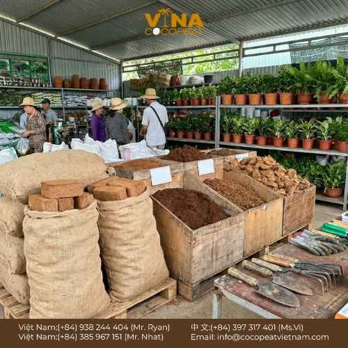 Tìm hiểu mua xơ dừa ở đâu uy tín, giá tốt, cách chọn xơ dừa đã xử lý, bảng giá tham khảo và kinh nghiệm mua số lượng lớn tiết kiệm chi phí.