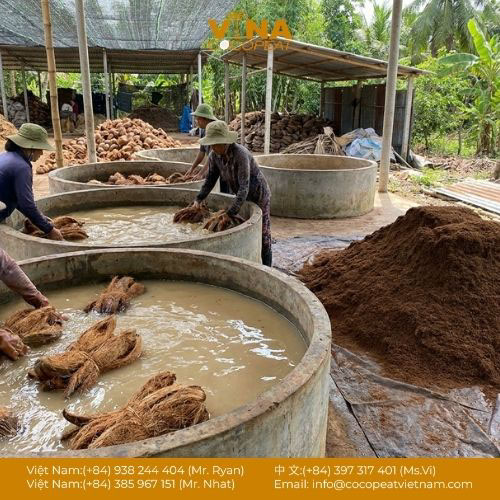 7 Nguồn Giá Xơ Dừa Đã Qua Xử Lý Tốt Nhất [Đảm