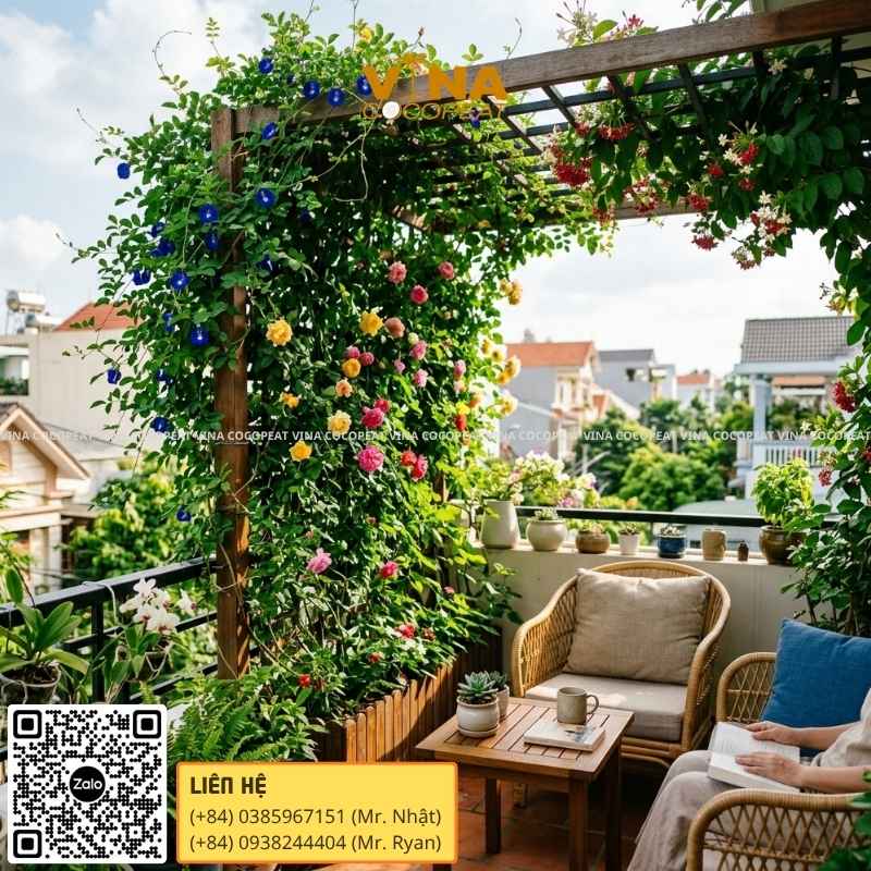 15 loại hoa leo giàn sai hoa, dễ chăm sóc