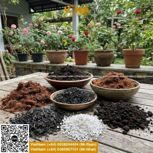 Các loại đất trồng hoa hồng phổ biến gồm mụn dừa trấu hun perlite và phân hữu cơ