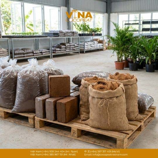 2 Nguồn Bán Mụn Dừa Tại Bến Tre Uy Tín, Giá Tốt [