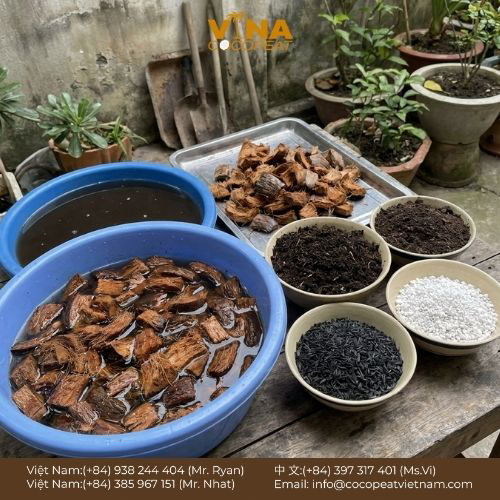 5 Mẹo Mua Vỏ Dừa Khô Trồng Cây Chuẩn Không Cần Ch