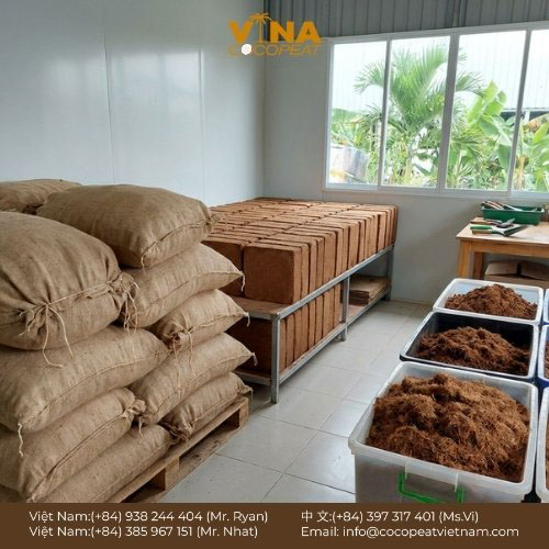 Tìm hiểu mua xơ dừa ở đâu uy tín, giá tốt, cách chọn xơ dừa đã xử lý, bảng giá tham khảo và kinh nghiệm mua số lượng lớn tiết kiệm chi phí.