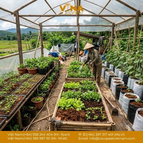 5 Cách Dùng Mụn Dừa Canh Tác Tăng Năng Suất Gấp ĐÔI
