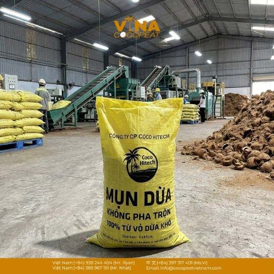 2 Nguồn Bán Mụn Dừa Tại Bến Tre Uy Tín, Giá Tốt [