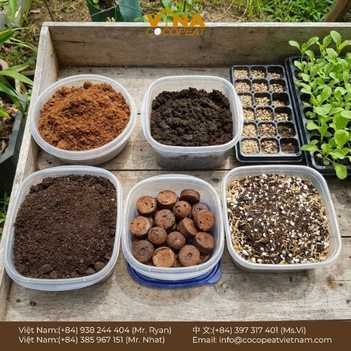 5 Loại Giá Thể Gieo Hạt Tốt Nhất Giúp Hạt Nảy M