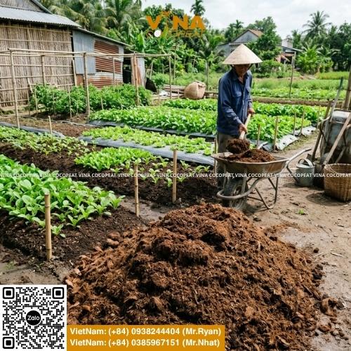 Tìm hiểu 5 cách ứng dụng mụn dừa trong sản xuất phân bón, từ đất sạch, phân hữu cơ vi sinh, hữu cơ khoáng, giá thể dinh dưỡng đến compost tại nhà.