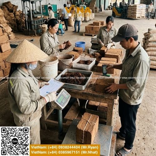 Tìm hiểu 5 tiêu chí chọn mụn dừa xuất khẩu Bến Tre: EC, pH, độ ẩm, độ nở, xử lý Tanin Lignin, tạp chất, chứng nhận và hồ sơ kiểm định.