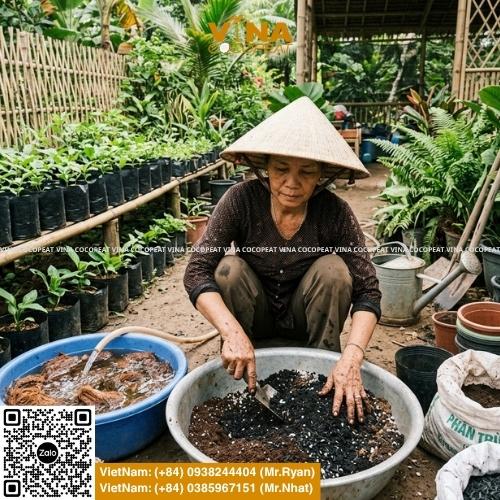 Tổng hợp đơn vị bán mụn dừa toàn quốc, tiêu chí chọn nhà cung cấp, thông số EC pH, quy cách sản phẩm, công thức phối trộn và bảng giá mụn dừa tham khảo.