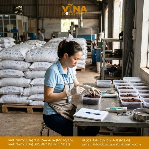 Nhà Cung Cấp Mụn Dừa Nhà Kính Uy Tín Hiện Nay [Đảm Bảo Chất Lượng]