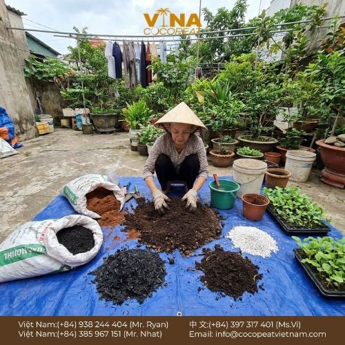 5 Bước Hiểu Rõ Giá Thể Là Gì & Tự Trộn Tiết Kiệm
