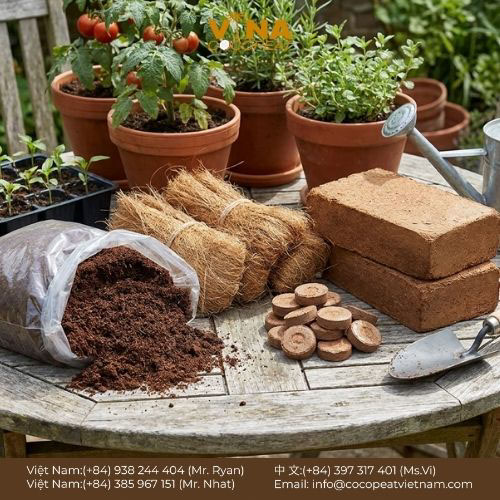 Khám phá 5 lợi ích của giá thể xơ dừa cho vườn nhà: giữ ẩm, thoáng khí, sạch mầm bệnh, cải tạo đất và hỗ trợ canh tác bền vững.