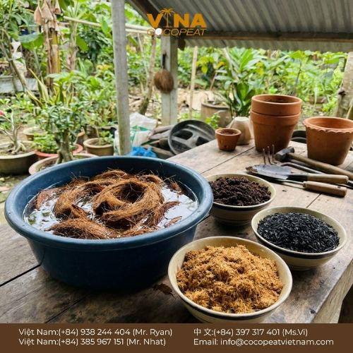 5 Cách Trồng Rau Sạch Trong Nhà Với Mụn Dừa