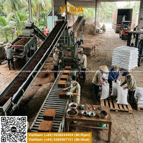 Tìm hiểu 5 tiêu chí chọn mụn dừa xuất khẩu Bến Tre: EC, pH, độ ẩm, độ nở, xử lý Tanin Lignin, tạp chất, chứng nhận và hồ sơ kiểm định.