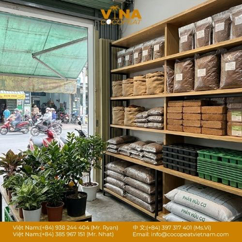 5 Địa Chỉ Bán Mụn Xơ Dừa Đã Xử Lý TPHCM Uy Tín