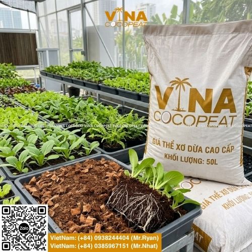 Tìm hiểu 5 nhóm nhà cung cấp vật tư nông nghiệp Đà Nẵng uy tín, cách chọn hạt giống, phân bón, mụn dừa, giá thể và dụng cụ canh tác phù hợp.