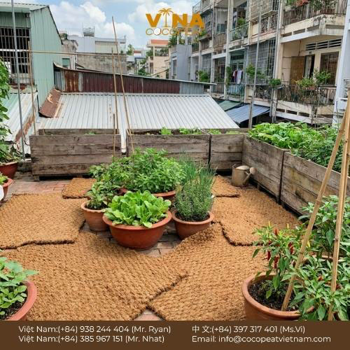 Cách sử dụng, cách xử lý và cách chọn mua tấm xơ dừa phù hợp cho cây trồng.