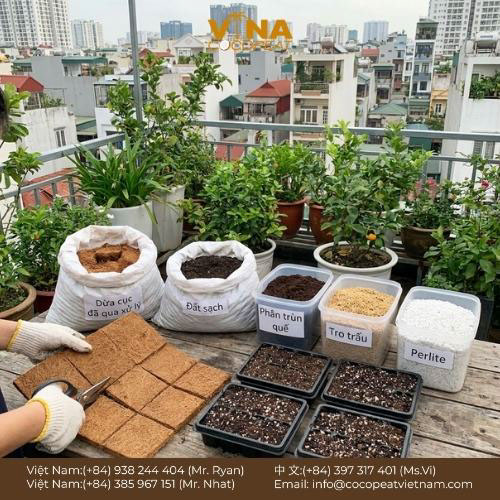 Cách sử dụng, cách xử lý và cách chọn mua tấm xơ dừa phù hợp cho cây trồng.